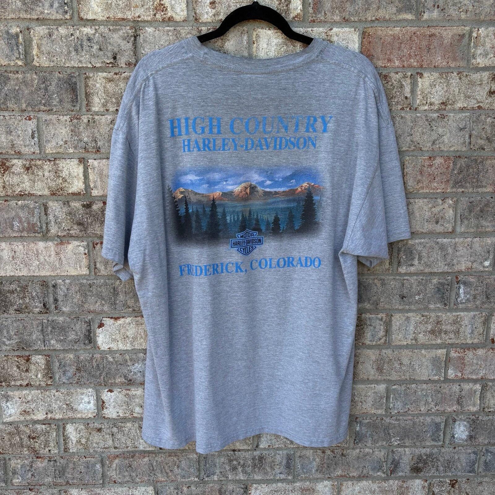 Harley Davidson Vintage Harley-Davidson faded T-shirt Size US L / EU 52-54 / 3 - 2 Thumbnail