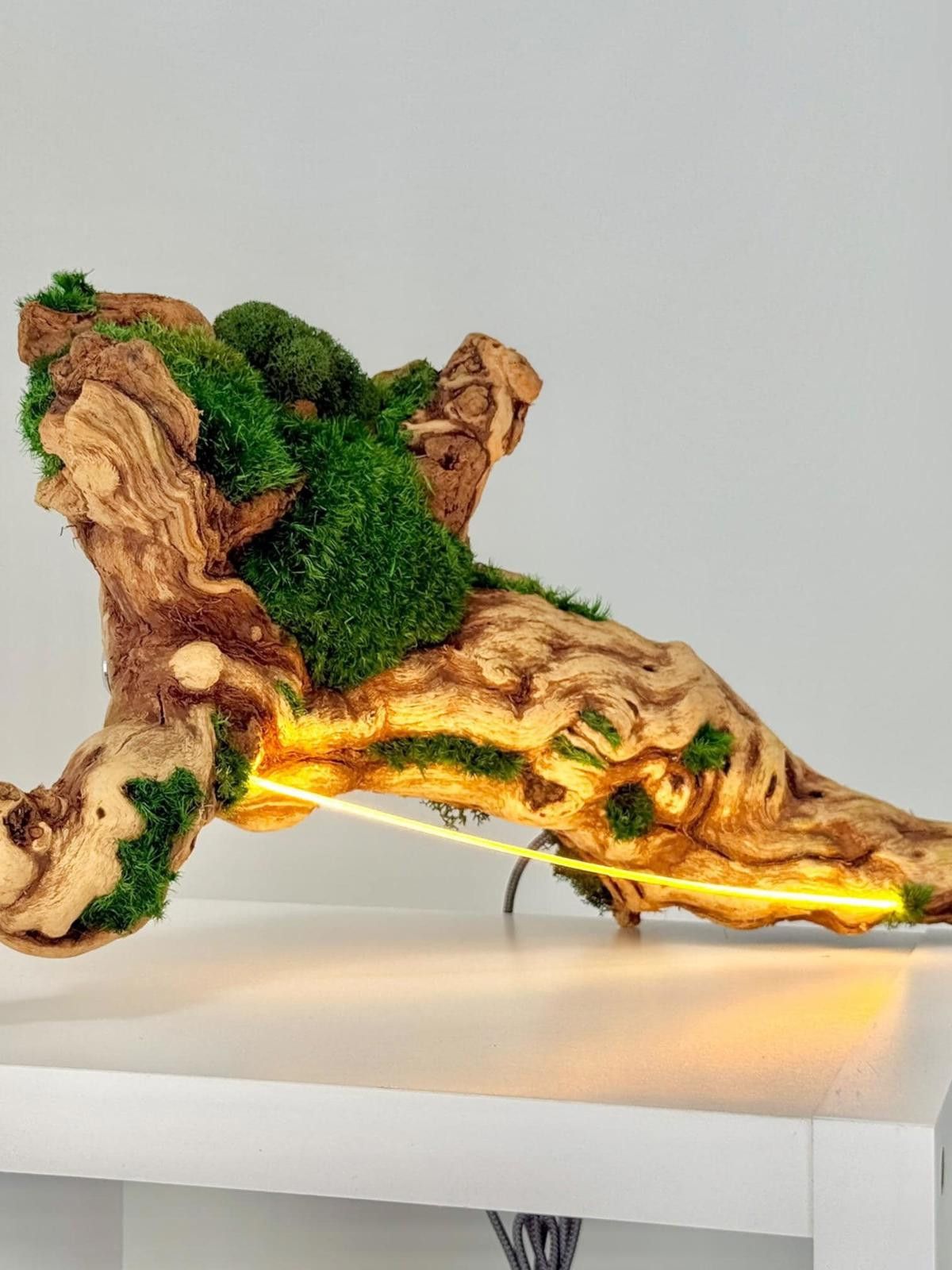 Other Organic Modern Driftwood Table Lamp Sculptural Wood Lighting Size ONE SIZE - 2 Thumbnail