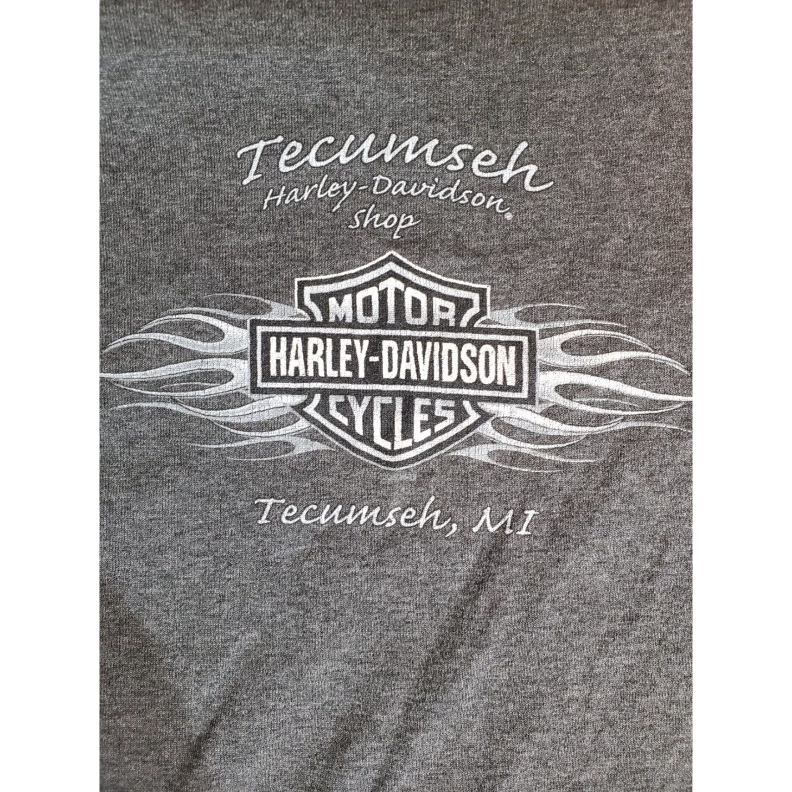 Harley Davidson Harley-Davidson Signature T-shirt Mens XL Gray Short Sleeve Crew Neck Size XL Regular Fit Size US XL / EU 56 / 4 - 5 Thumbnail