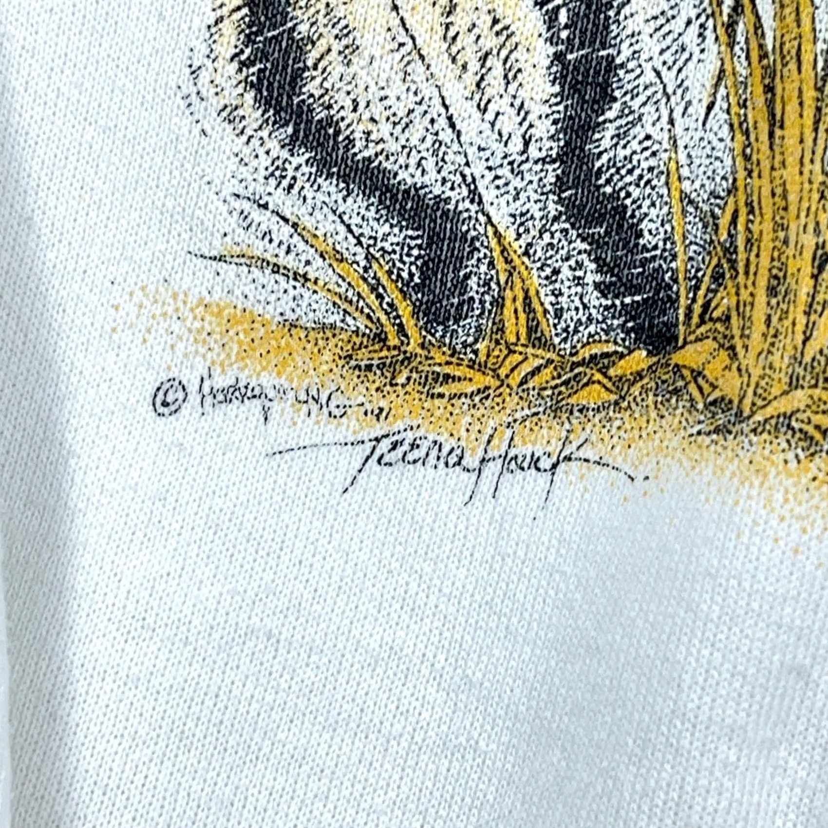 Hanes VINTAGE Hanes Sweatshirt Men XL White 90s Crewneck Pullover Regular Heavyweight Cotton Blend Logo Graphic Print Nature 90s USA Bengals Tiger Mens Size US XL / EU 56 / 4 - 3 Thumbnail