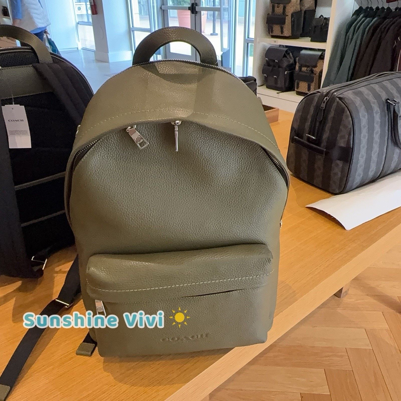 Coach NWT Coach Taylor Backpack Pebble Leather CDX93 Olive Silver Size ONE SIZE - 8 Thumbnail