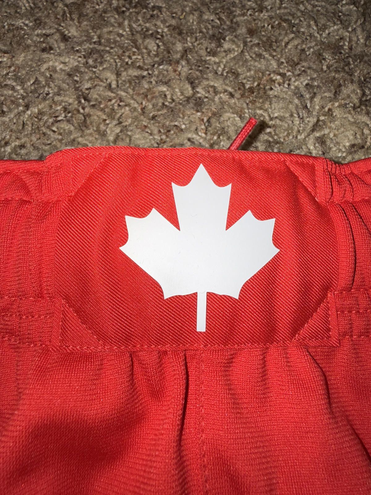 Nike Nike Men's NBA Toronto Raptor Dri-Fit ADV Team Issued Shorts Size US 34 / EU 50 - 4 Thumbnail