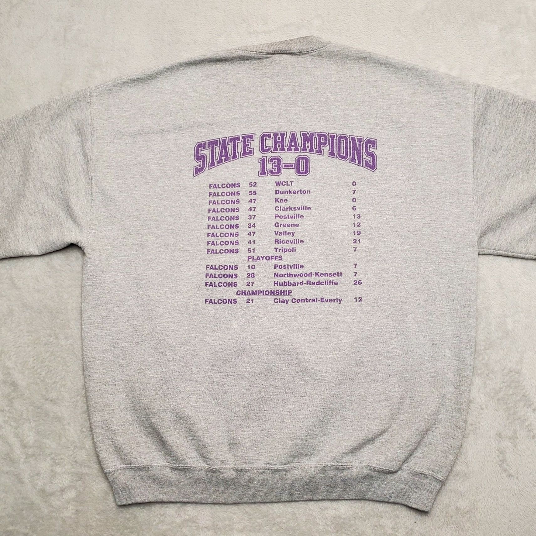 Jerzees VINTAGE Fredericksburg Football Sweatshirt Mens XL Gray 2001 Champions Jerzees Shirt Men XL Gray 90s USA Concert Outdoor Football Champions Size US XL / EU 56 / 4 - 7 Thumbnail
