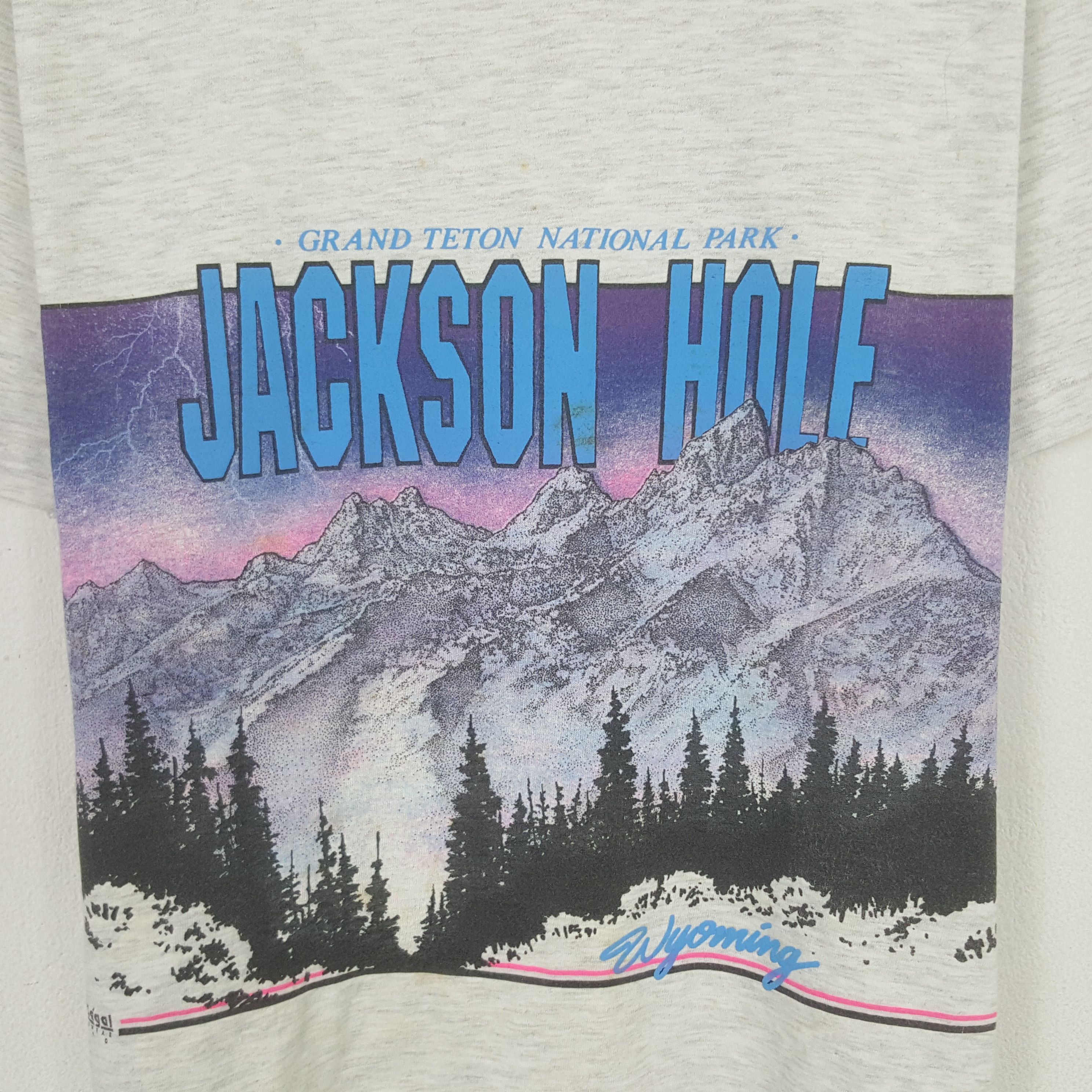 Vintage Vintage Jackson Hole Mountain Tshirt Size US M / EU 48-50 / 2 - 2 Thumbnail
