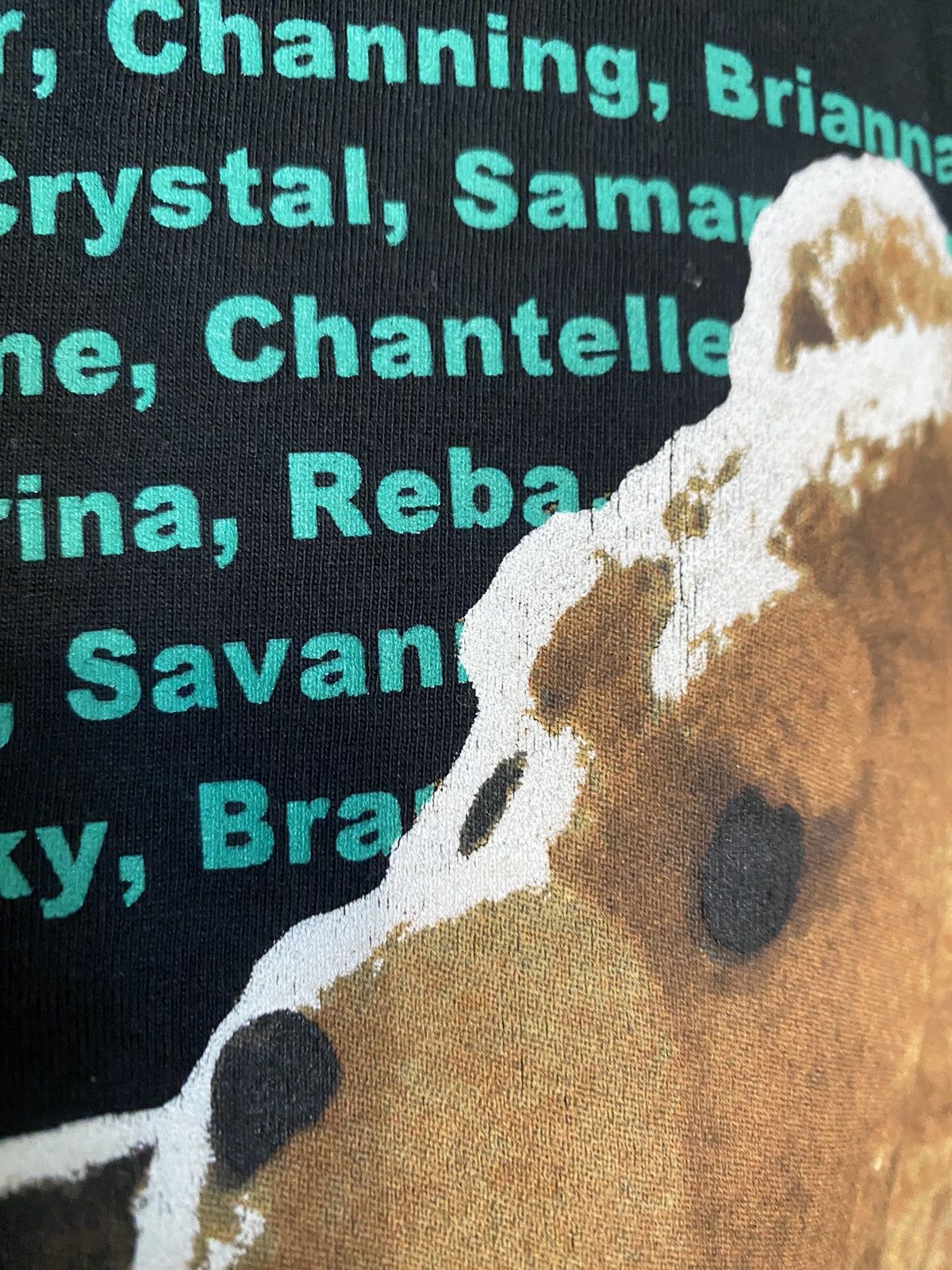 Other Ted 2012 Movie Rare Graphic T shirt y2k printed tee Size US S / EU 44-46 / 1 - 4 Thumbnail