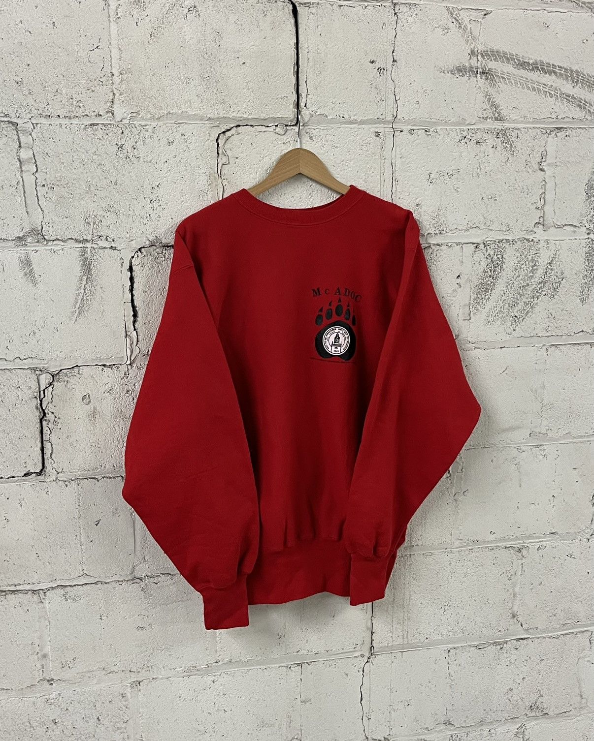 Champion Champion reverse weave 90s college rare streetwear hype Size US XL / EU 56 / 4 - 1 Thumbnail