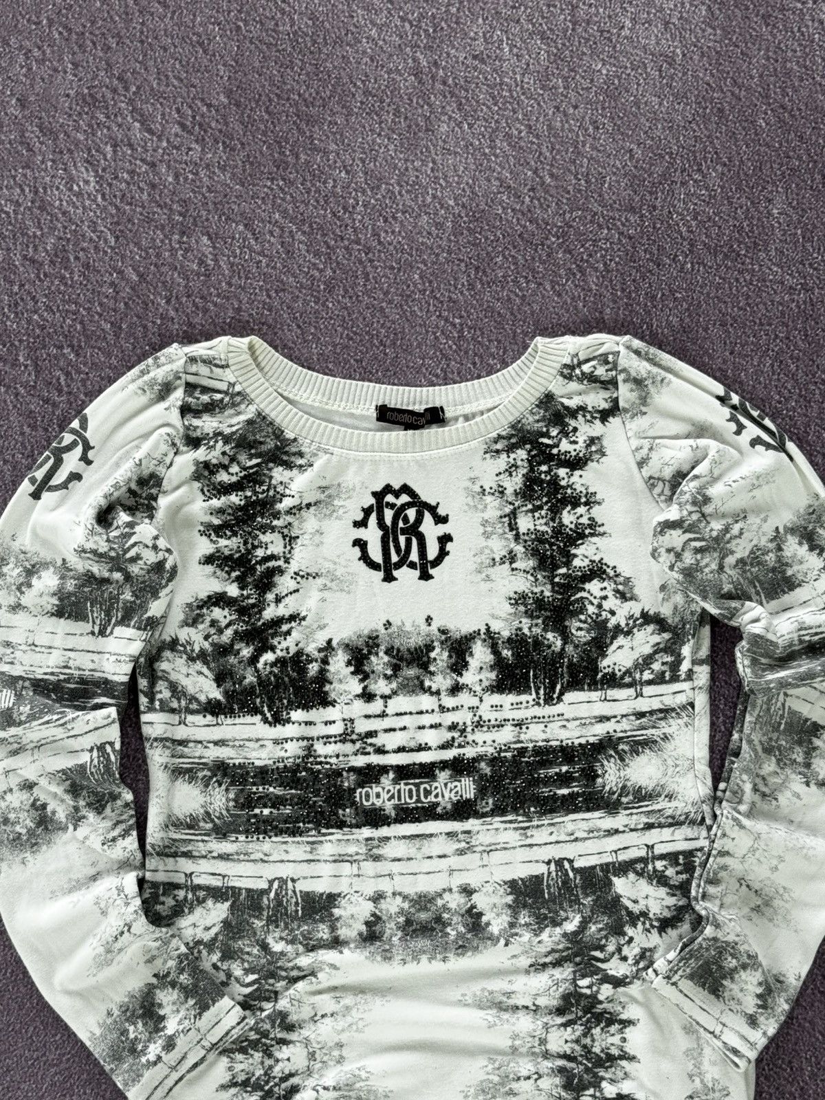 Roberto Cavalli Y2K Roberto Cavalli 00s Grunge Vibe Printed Long Sleeve Top Size XL / US 12-14 / IT 48-50 - 2 Thumbnail