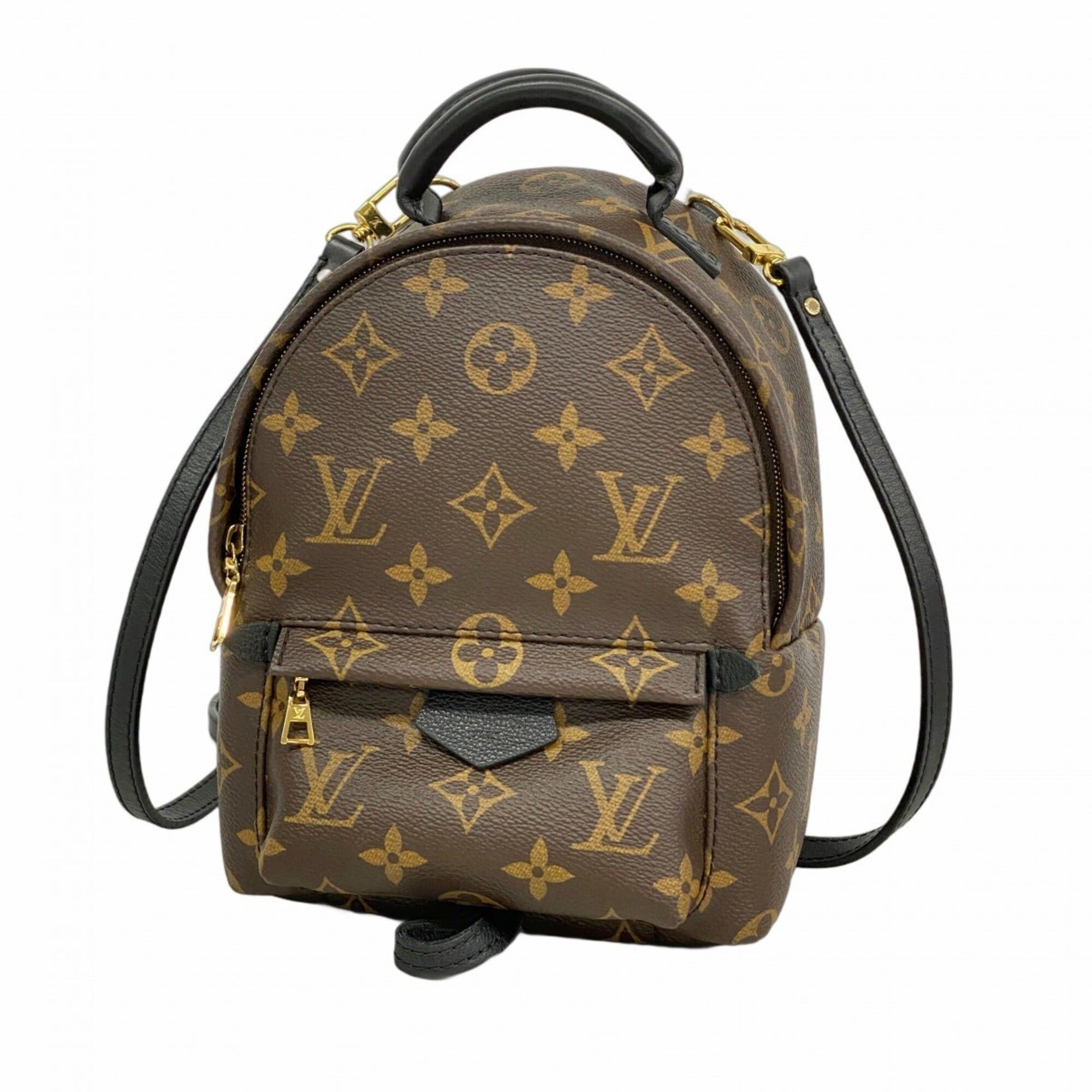 Louis Vuitton Louis Vuitton Palm Springs Masters Collection Rubens 