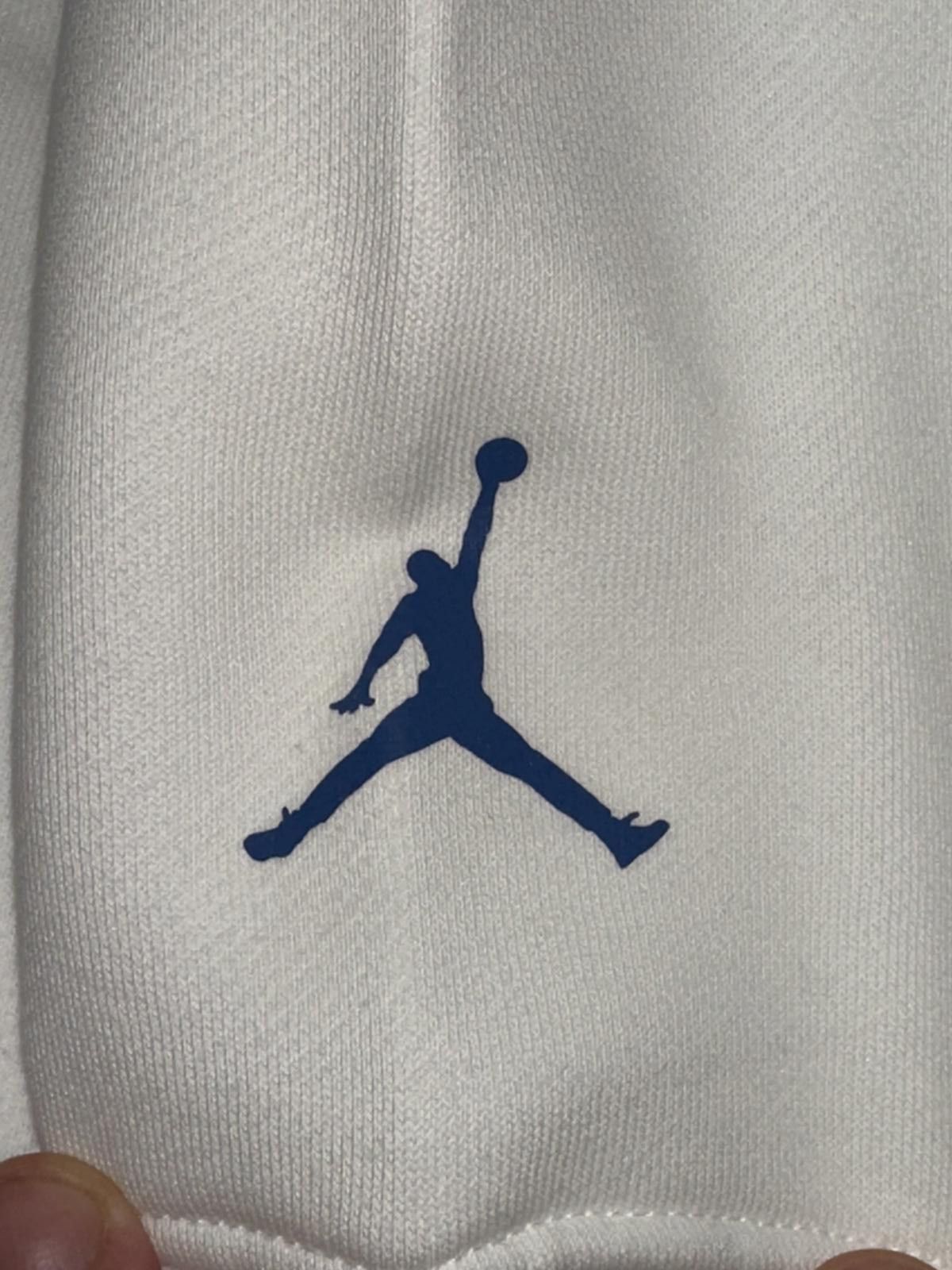 Nike Air Jordan Nike Collection Take Flight Fleece Hoodie White Size US M / EU 48-50 / 2 - 8 Thumbnail