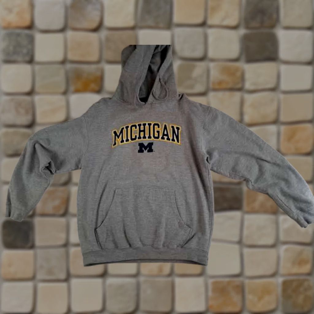 Vintage U of Michigan Wolverines Gray Medium Pullover Hoodie Pro Edge Hoodie Mens M Gray Pullover Hooded Pockets Michigan Letters 26in long 24in pit to pit Size US M / EU 48-50 / 2 - 1 Thumbnail