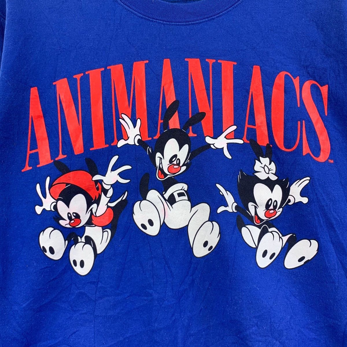 Vintage ANIMANIACS American Cartoon Character Print Blue Sweatshirt Size US S / EU 44-46 / 1 - 3 Thumbnail
