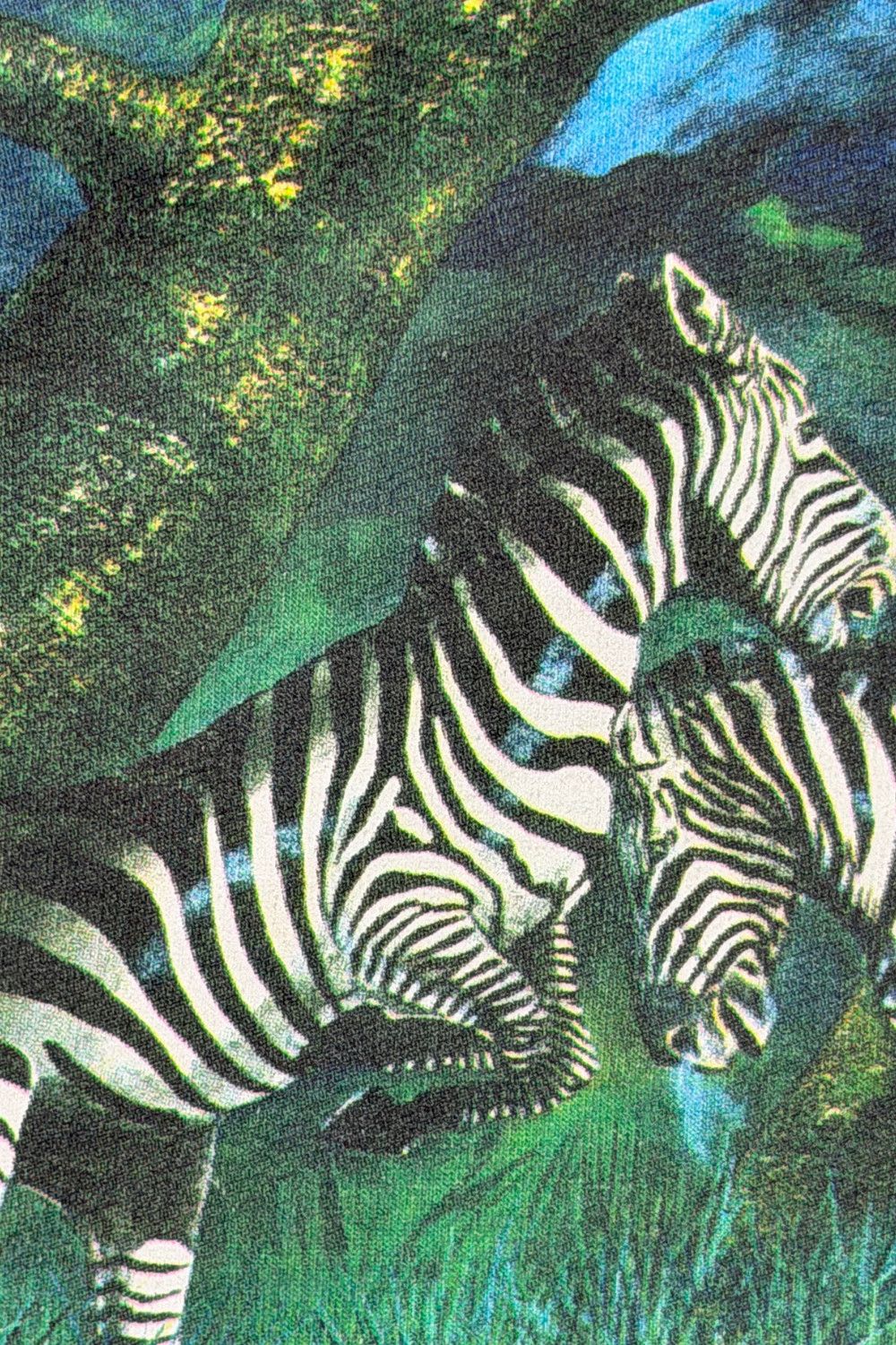 Hanes Vintage 1992 Zebra Wildlife Tee Earth Tones Single Stitch Size US XL / EU 56 / 4 - 9 Thumbnail