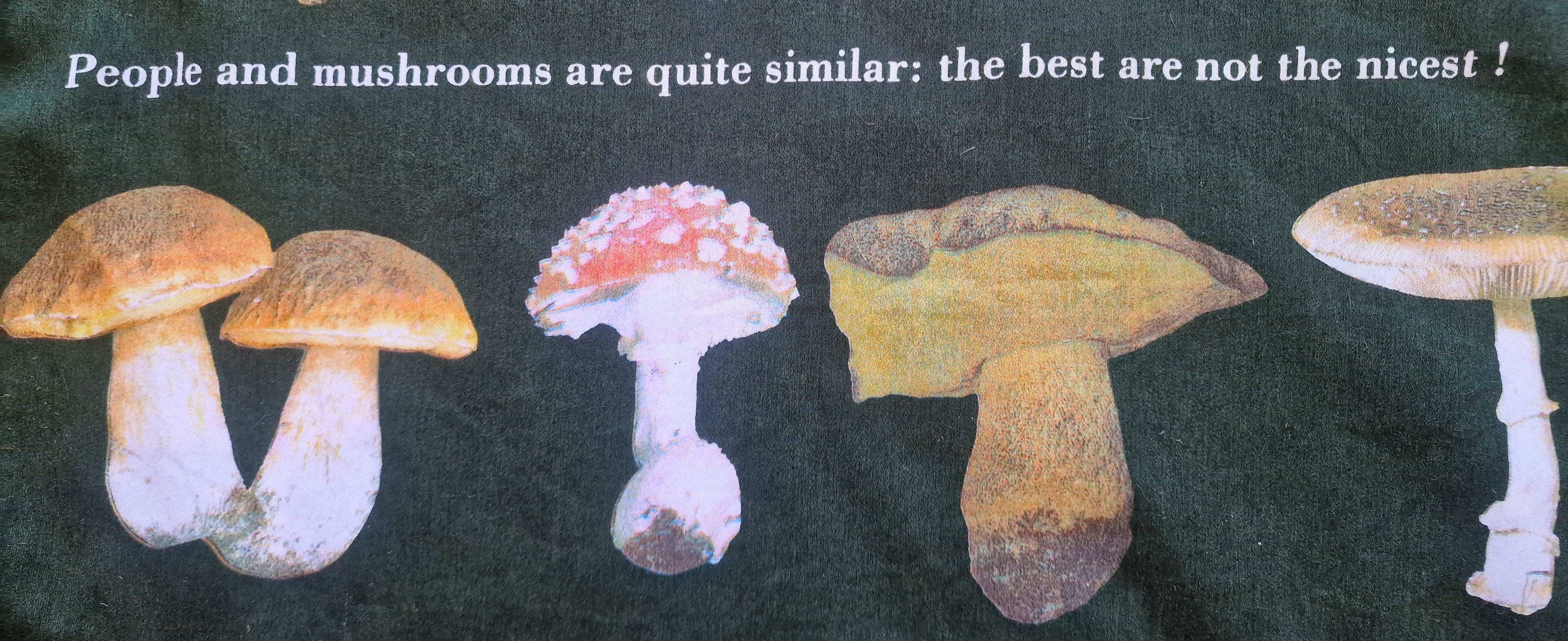 Moschino Moschino Mushroom Brown Weird Funny XL Tee Shirt T-shirt Size US XL / EU 56 / 4 - 2 Thumbnail