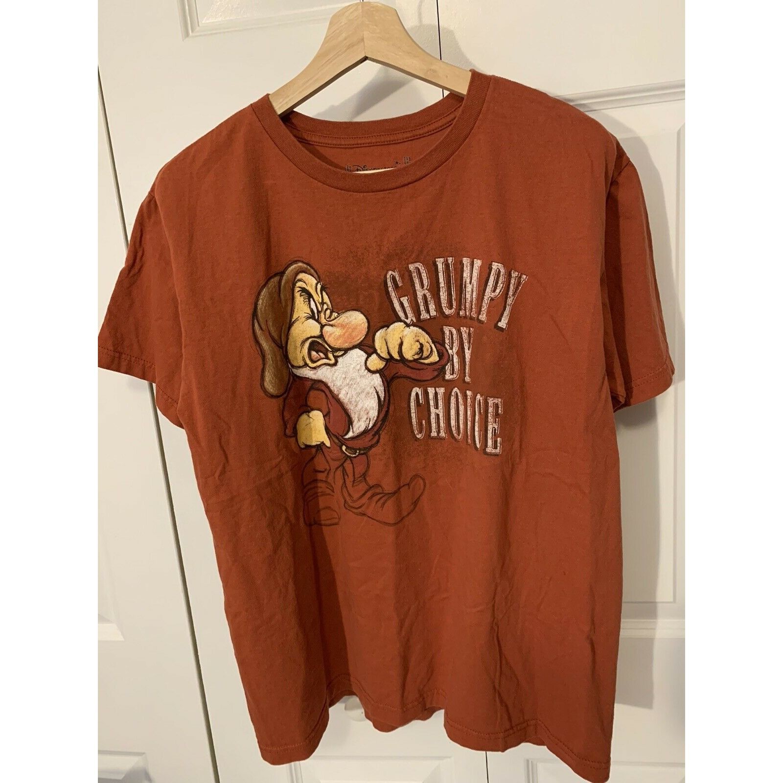 Disney Disney Store Mens GRUMPY BY CHOICE Rust Tee Shirt Sz M Organ Size US M / EU 48-50 / 2 - 3 Thumbnail
