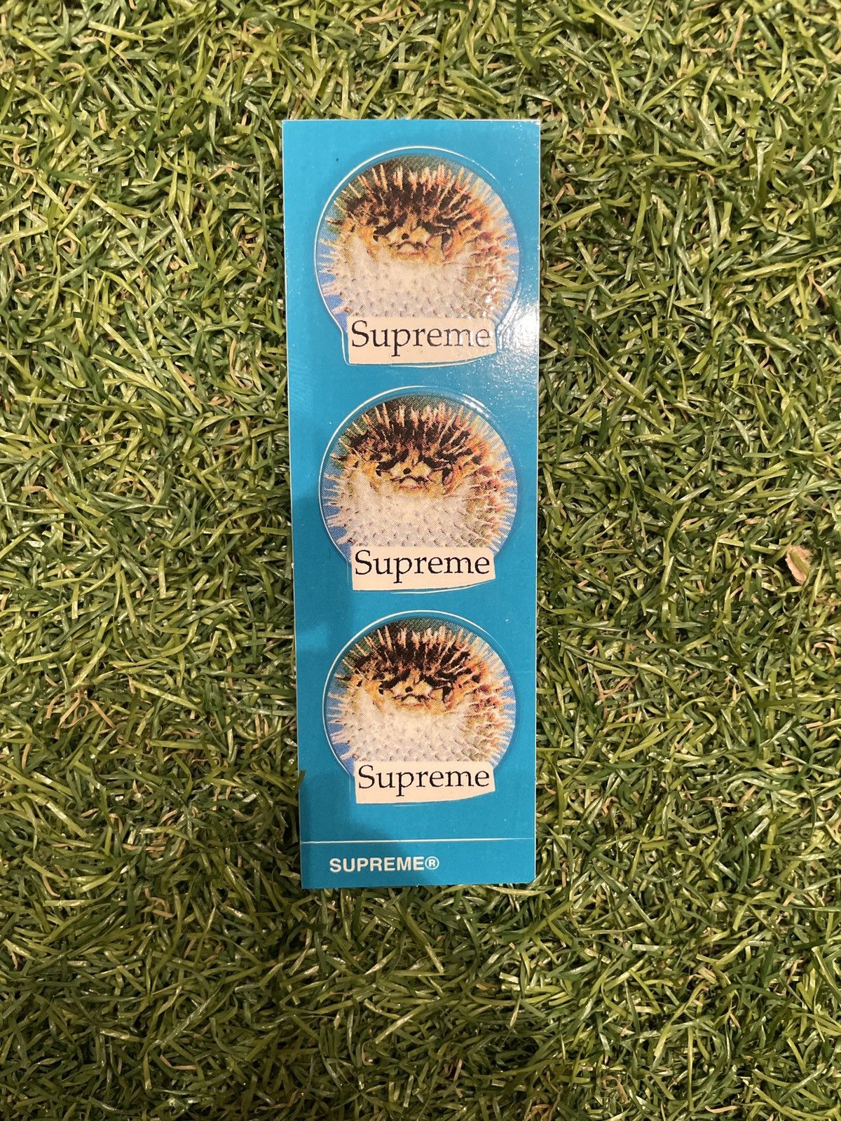 Supreme Supreme “Pufferfish” Sticker Size ONE SIZE - 1 Preview