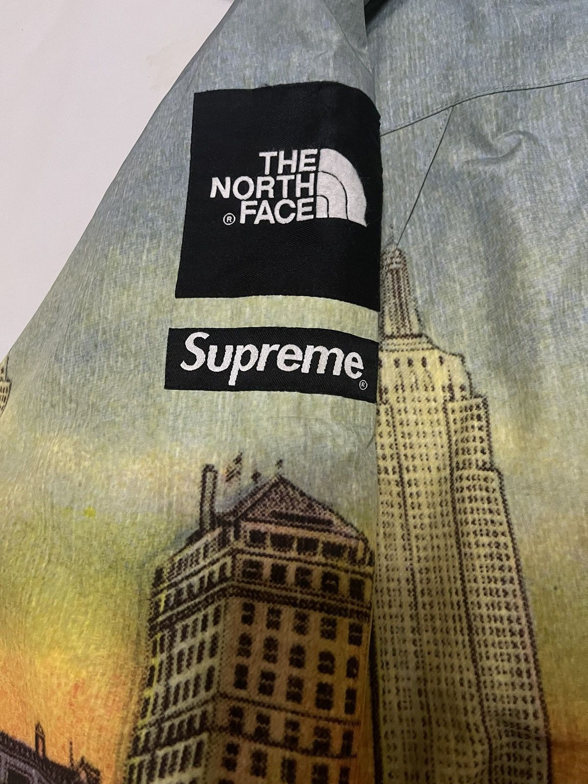 Supreme × The North Face Supreme tnf 08 the north face day summit skyline Jacket Size US L / EU 52-54 / 3 - 3 Thumbnail