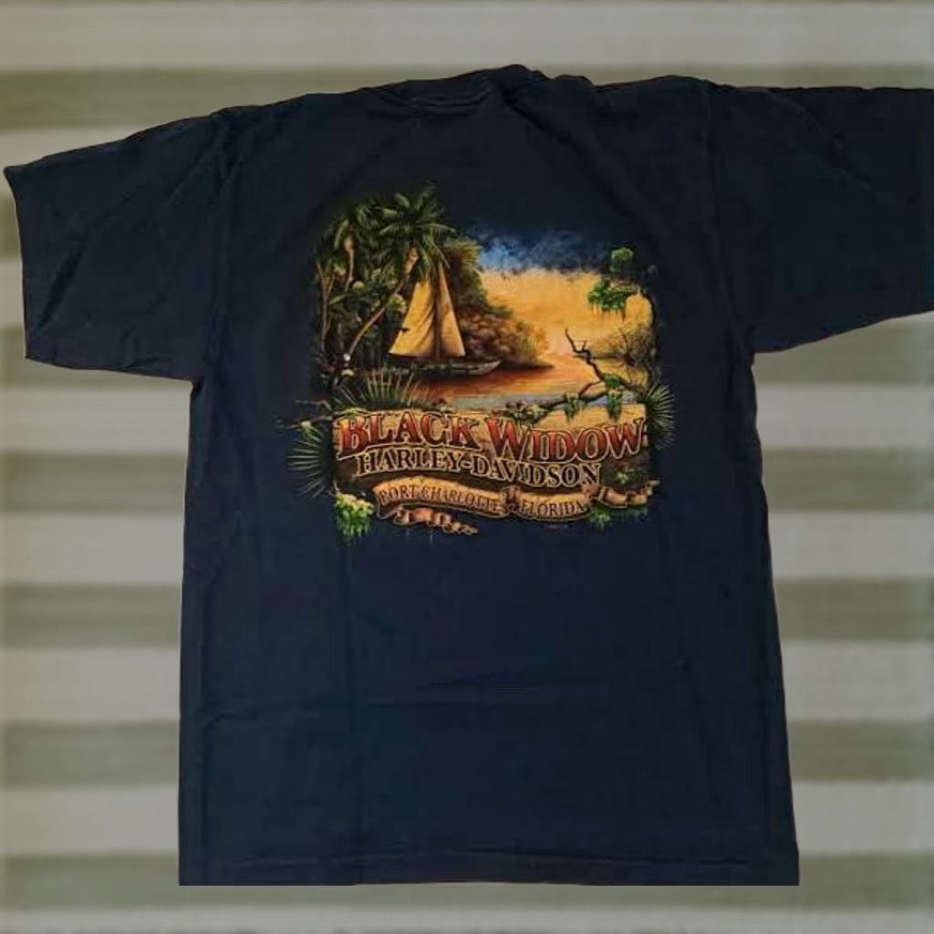 Harley Davidson Harley-Davidson T-Shirt USA Port Charlotte Florida 2009 Blue M Short Sleeve Unisex Adults Womens/Mens? Size US M / EU 48-50 / 2 - 1 Thumbnail