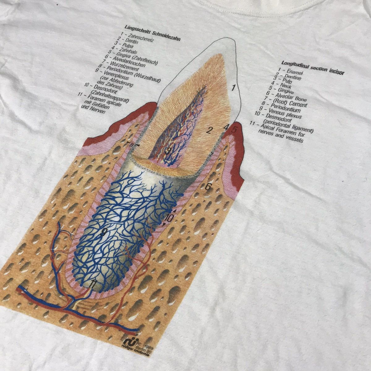 Vintage Vintage 90s Anatomy Graphic Tee Streetwear Art Y2K Cropped M Size US M / EU 48-50 / 2 - 4 Thumbnail