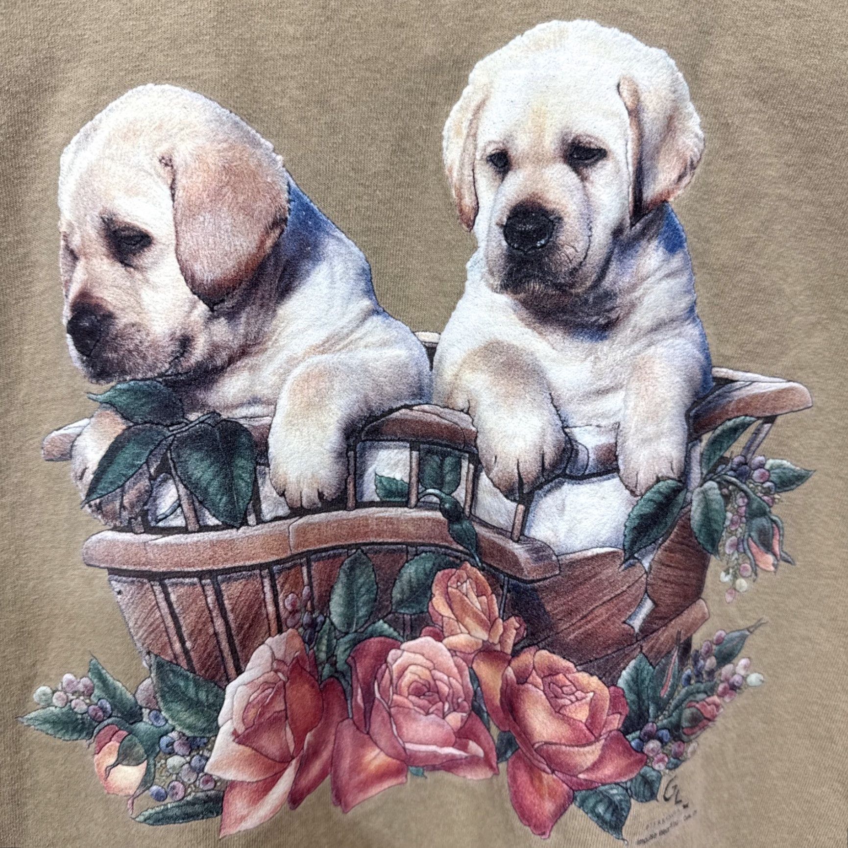 Anvil Vintage Anvil T-Shirt Unisex Adults Large Flowers Labrador Dogs 90s Art Casual Seasonal Size L / US 10 / IT 46 - 7 Thumbnail