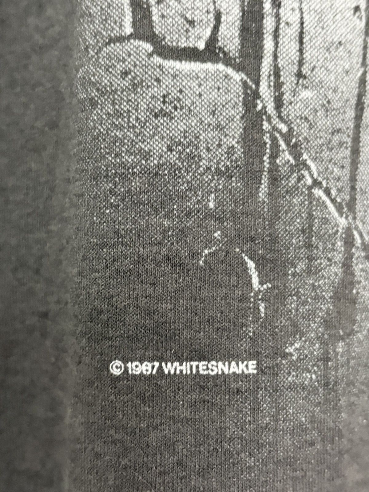 Vintage Whitesnake 1988 Vintage Original Paper Thin Single Stich Tee Size US XL / EU 56 / 4 - 6 Thumbnail