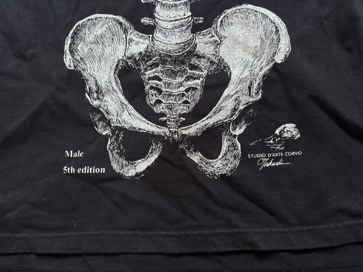 Other Studio D’Arte Corvo Skeleton Anatomy Male 5th edition Size US M / EU 48-50 / 2 - 3 Thumbnail