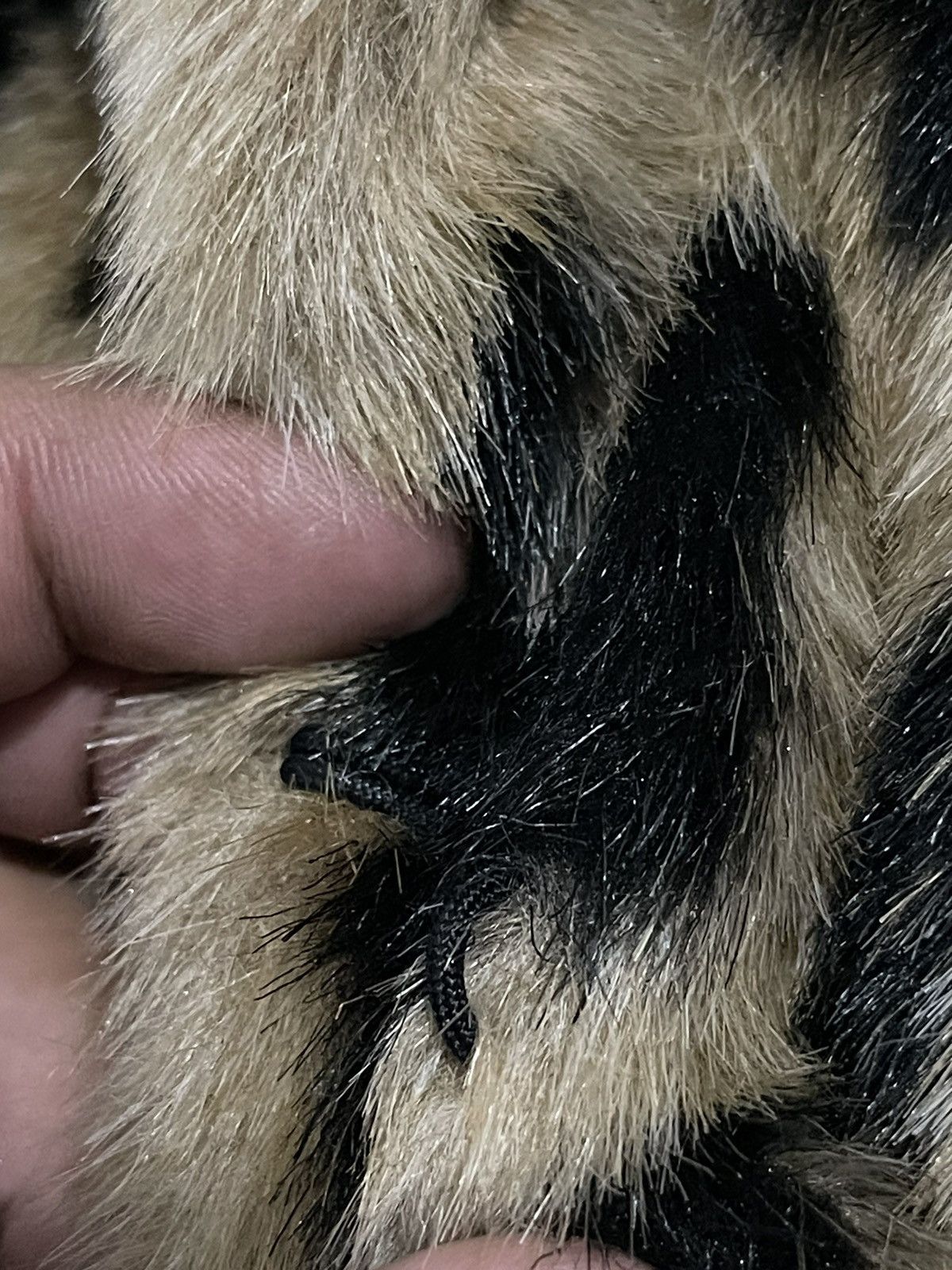 Japanese Brand VINTAGE BARDOT LEOPARD PRINT AUSTRALIAN DESIGN COAT Size M / US 6-8 / IT 42-44 - 18 Thumbnail