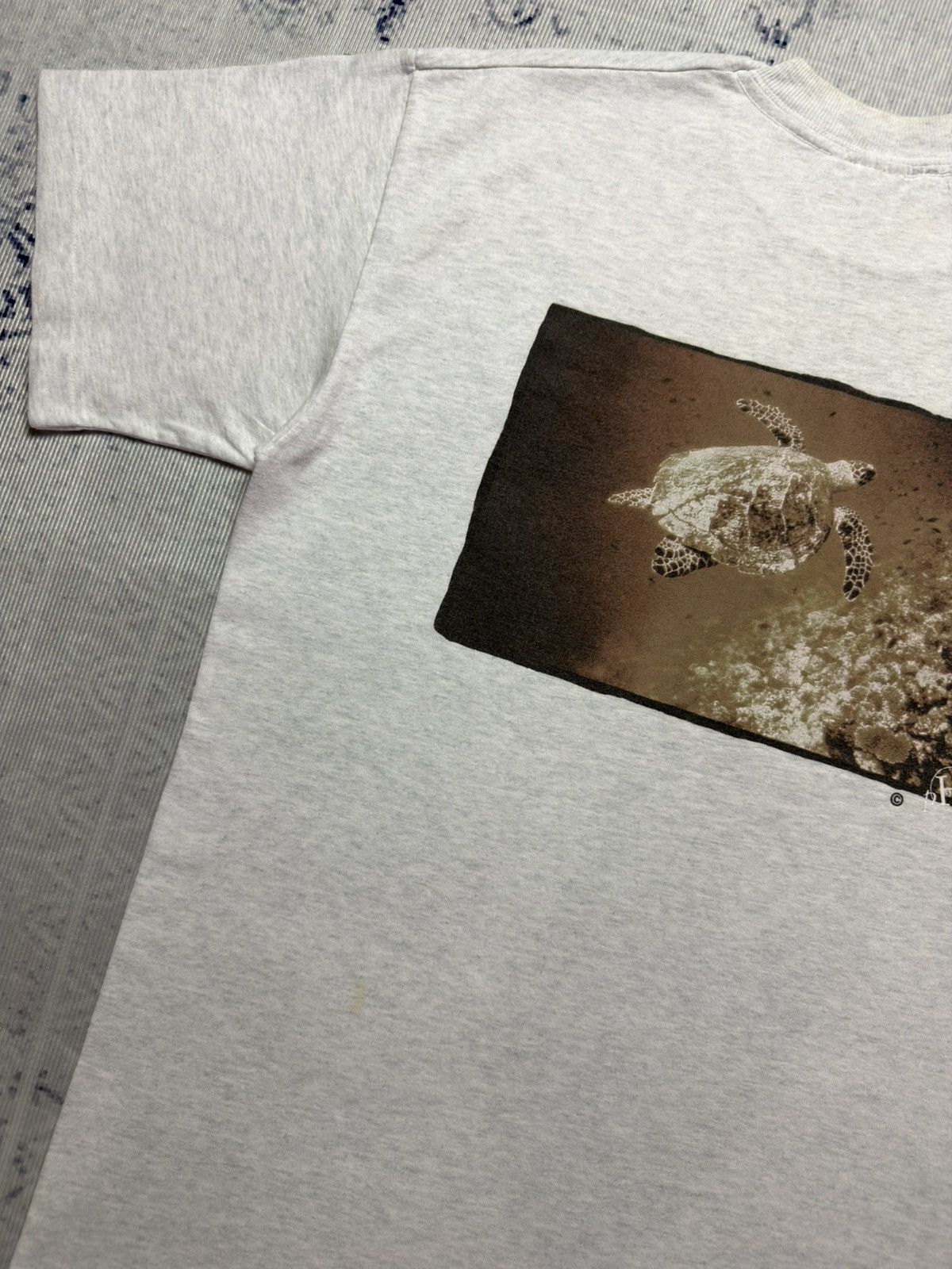 Vintage VINTAGE PH SEA TURTLE GRAPHIC TEE , SHIRT Size US L / EU 52-54 / 3 - 3 Thumbnail