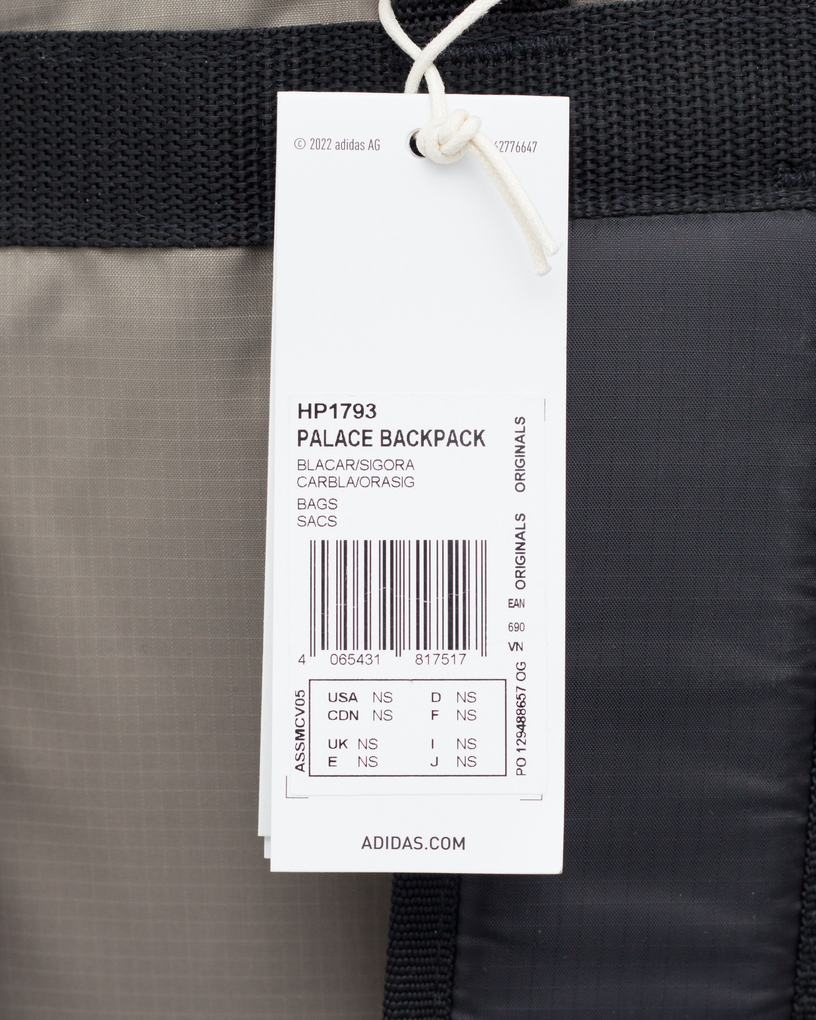 Adidas × Palace Palace Skateboards Nature Backpack HP1793 Size ONE SIZE - 16 Thumbnail