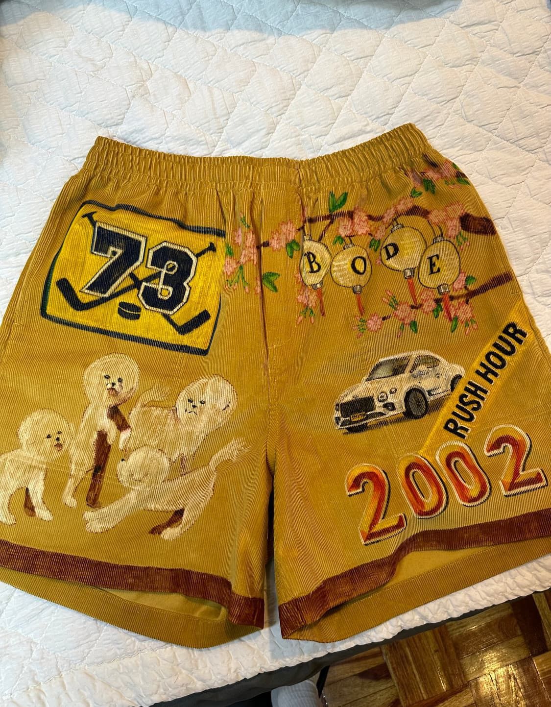 Bode Bode (1 of 1) Hand Painted Senior Cord Shorts Size US 32 / EU 48 - 1 Thumbnail