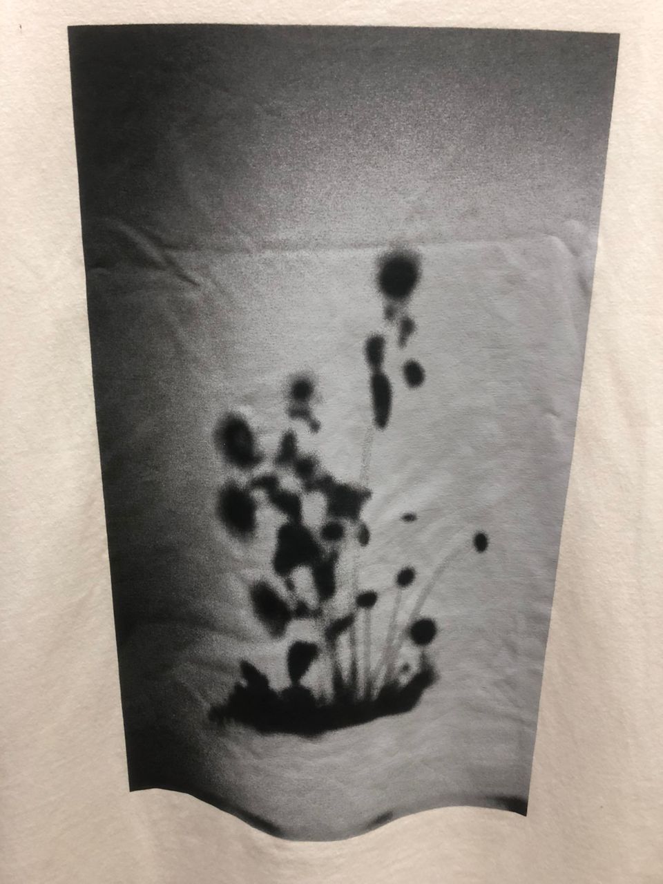 Band Tees vintage Bish for cleaning staff band tshirt tee Size US XL / EU 56 / 4 - 8 Thumbnail