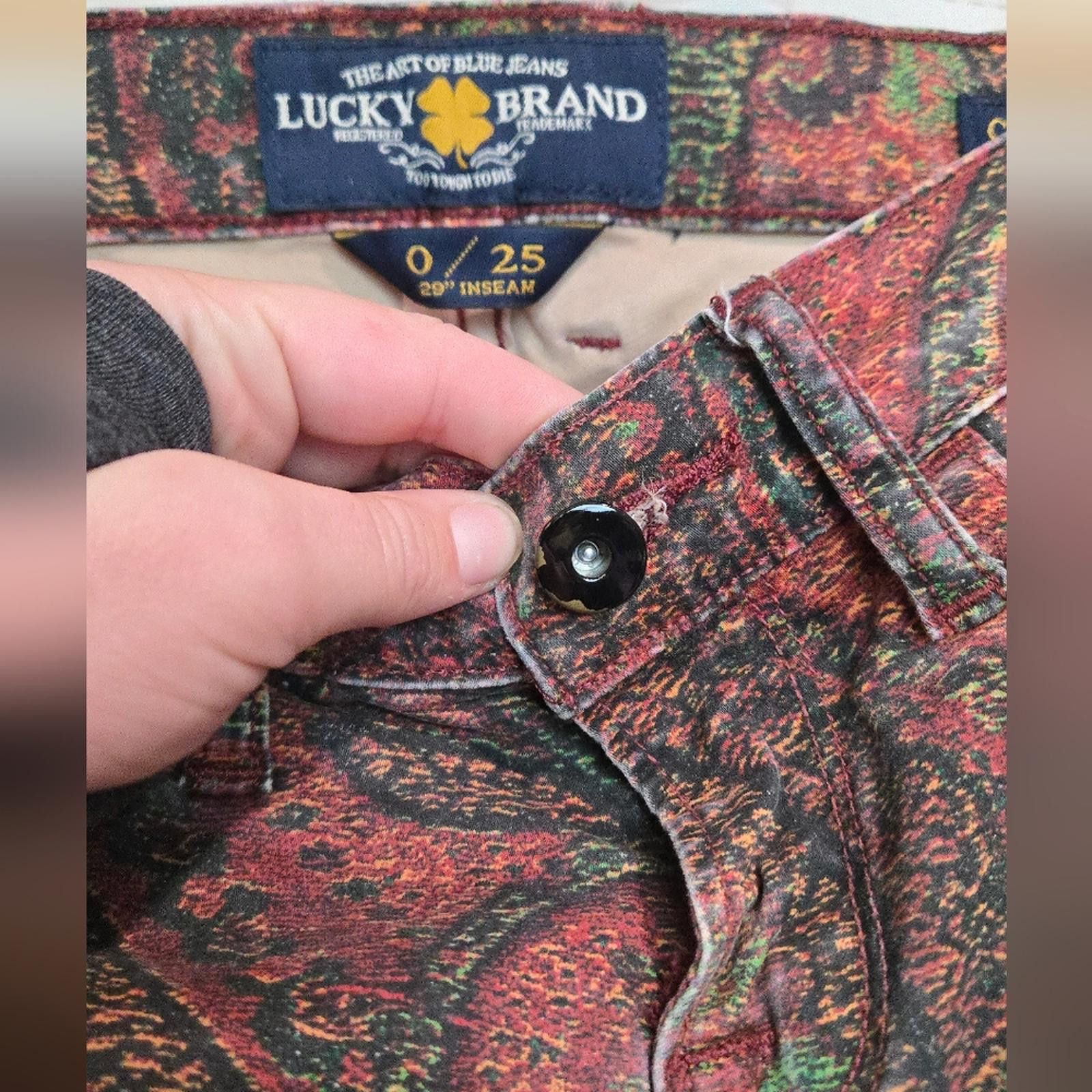 Lucky Brand Lucky Brand Paisley Charlie Skinny Jeans Size 25" / US 0 / IT 36 - 4 Thumbnail