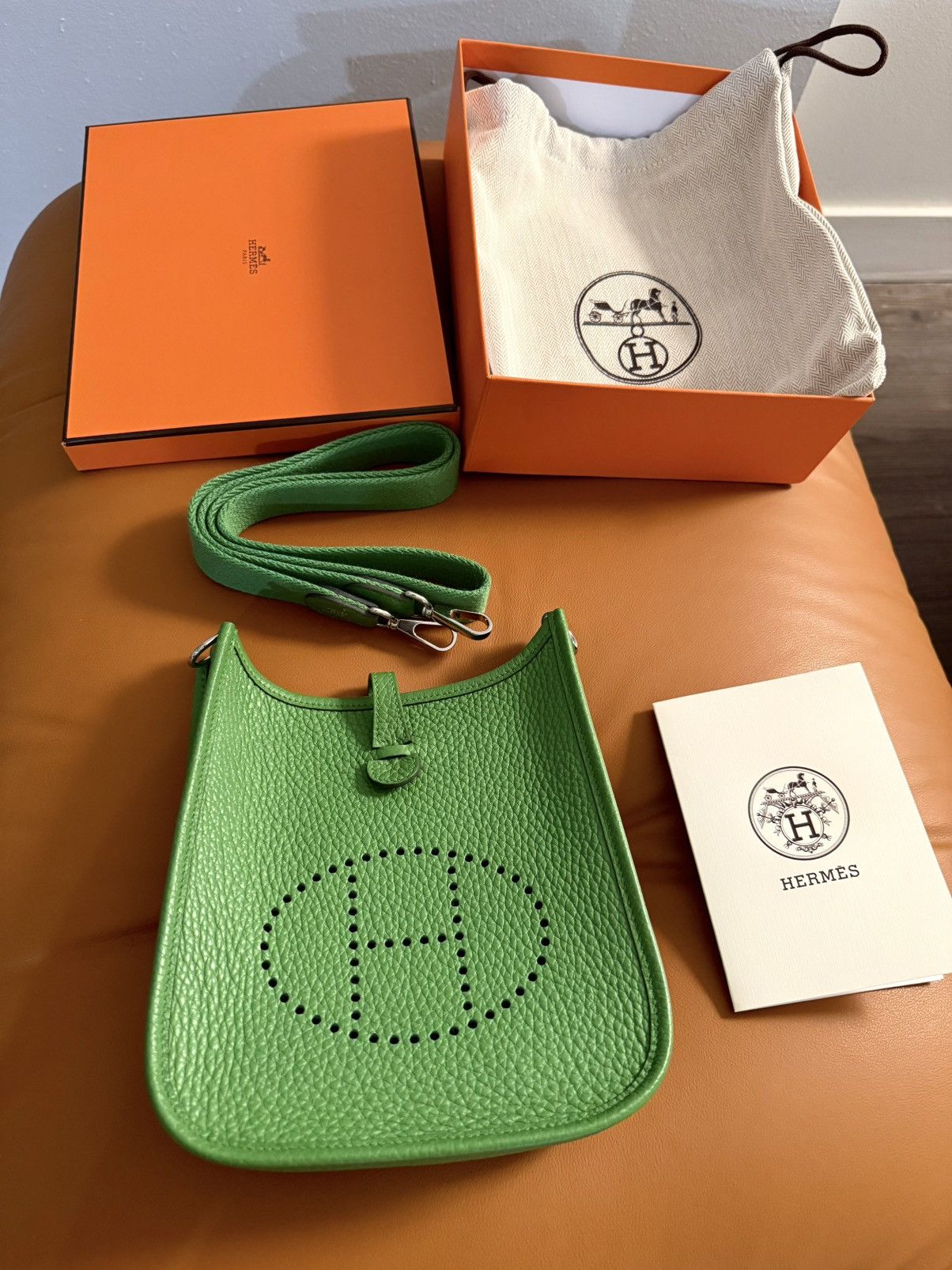 Hermes HERMES EVELYNE 16 AMAZONE CLEMENCE BULL CALFSKIN Size ONE SIZE - 1 Thumbnail