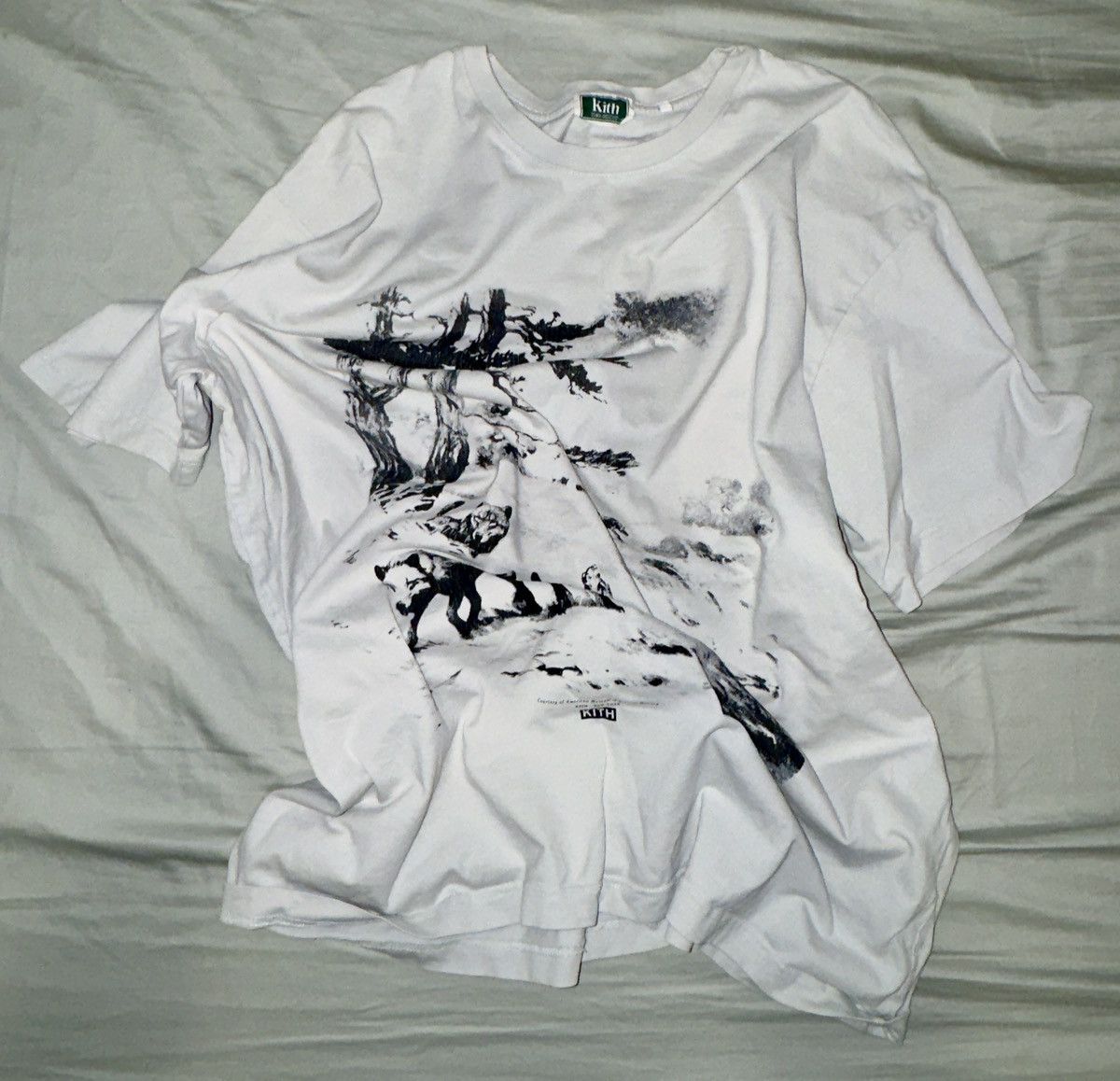 Kith Kith AMNH Wolves vintage tee Size US XXL / EU 58 / 5 - 2 Thumbnail