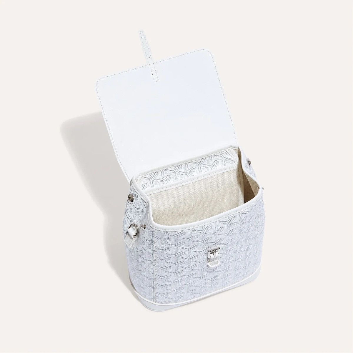 Goyard Alpin mini backpack Size ONE SIZE - 5 Thumbnail