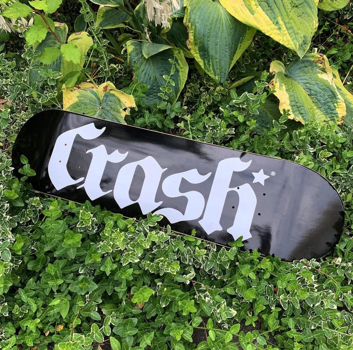 Crash Vancouver Crash Vancouver Logo Skate Deck Size ONE SIZE - 1 Thumbnail