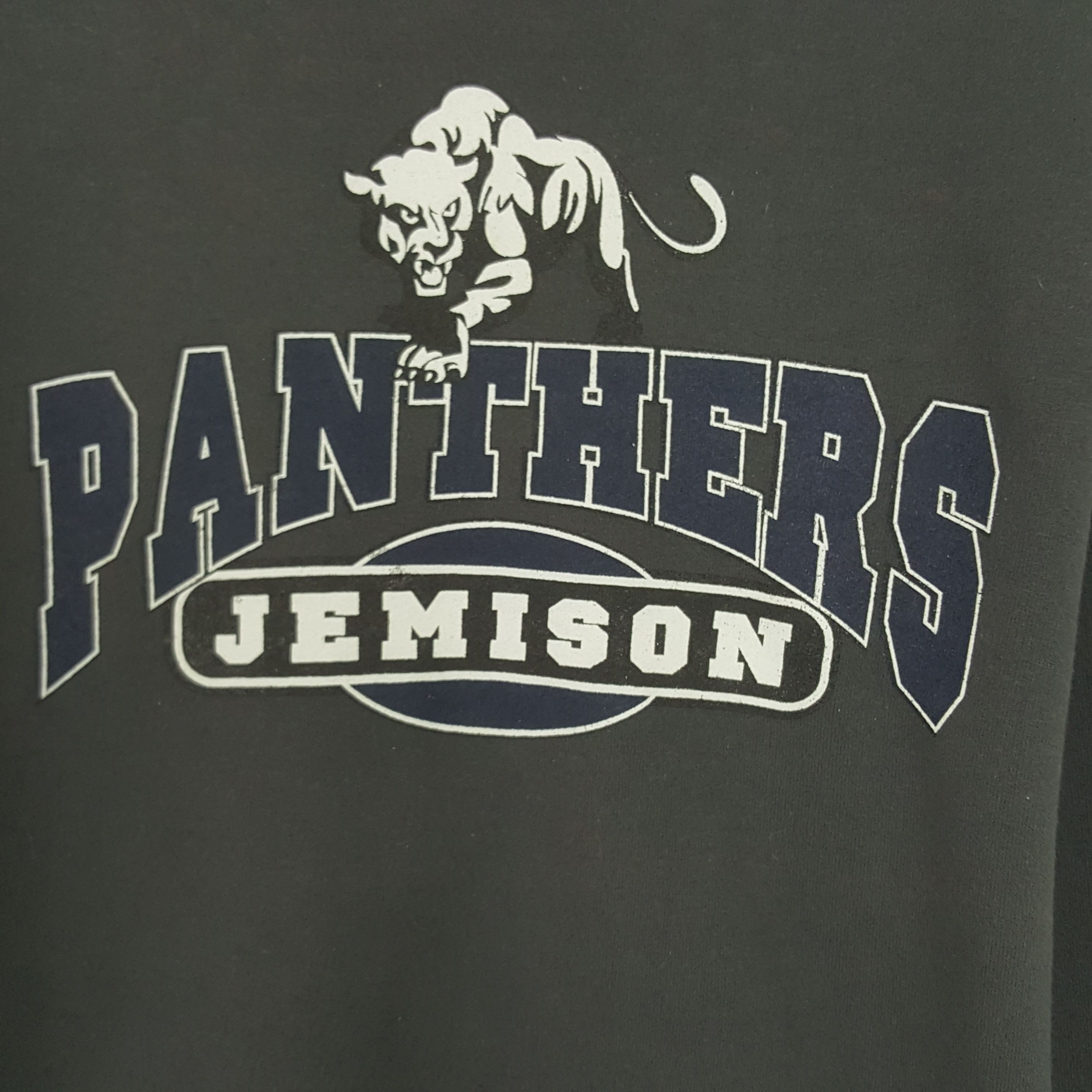 Jerzees × Vintage Vintage Panthers Jemison Sweatshirt Size US L / EU 52-54 / 3 - 2 Thumbnail