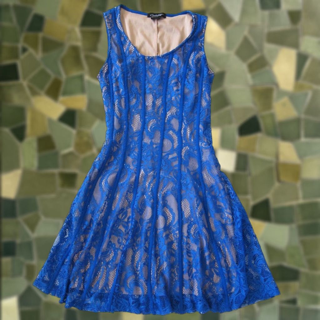 Cadalite Blue Lace Floral Stretch Sleeveless A-Line Party Tank Dress Small  Sun Dress Women - www.skelectricalsolution.com