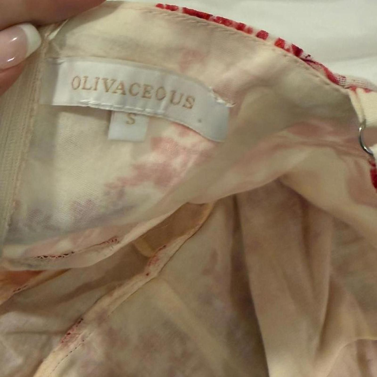 Other Red/cream floral tiered mini ruffle layers + dainty straps Size ONE SIZE - 6 Thumbnail