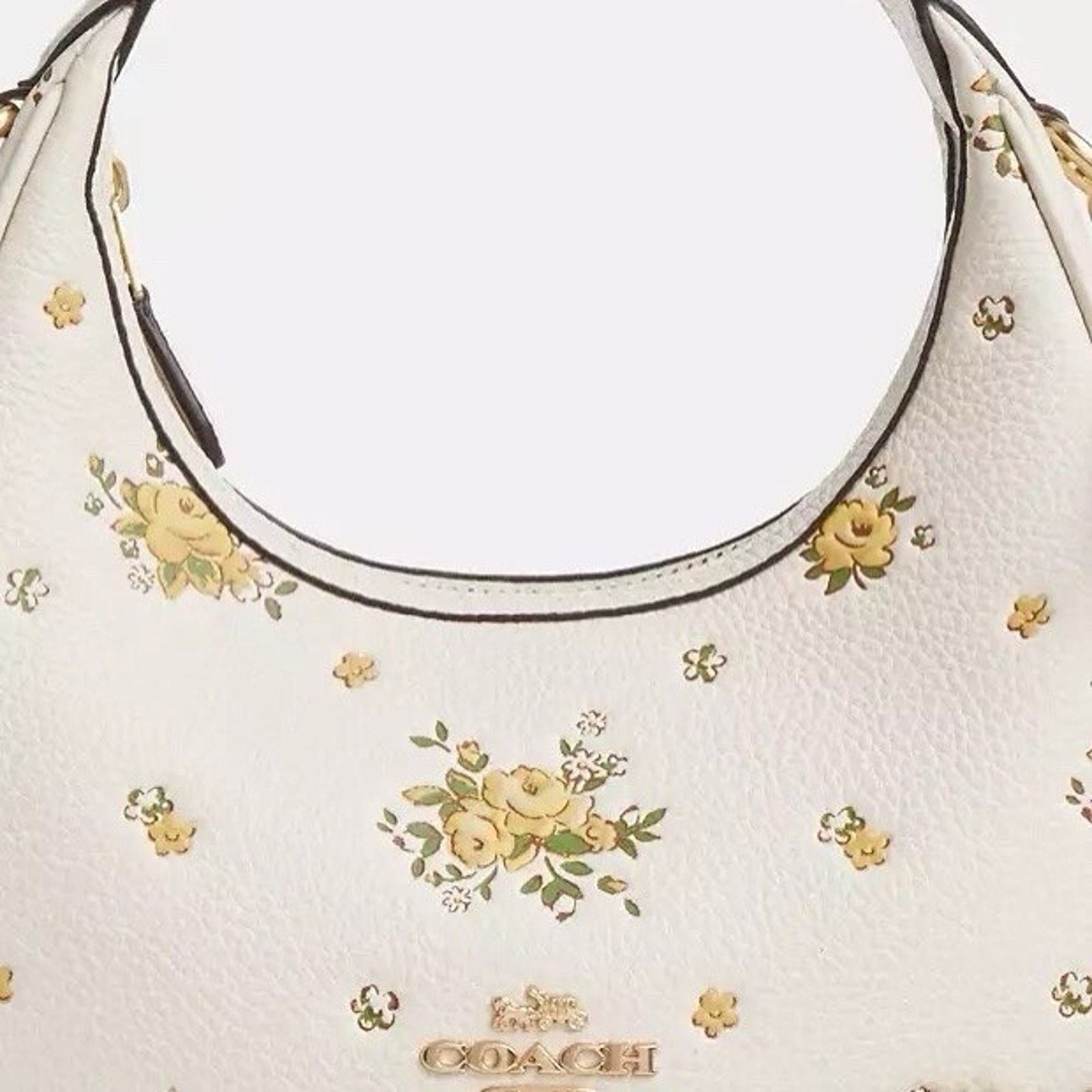 Coach NWT Coach Carmen Mini Crossbody Bag With Floral Print CAK90 Size ONE SIZE - 9 Thumbnail