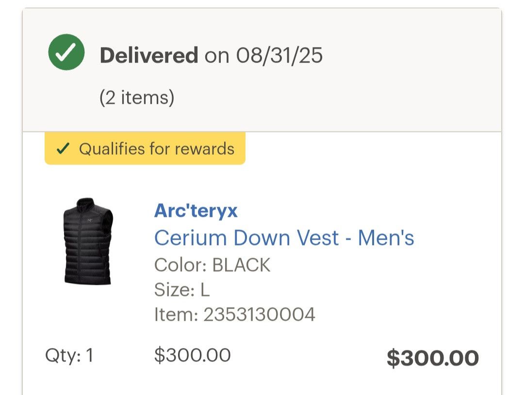Arc'teryx Arc'teryx Cerium down vest Size US L / EU 52-54 / 3 - 11 Thumbnail
