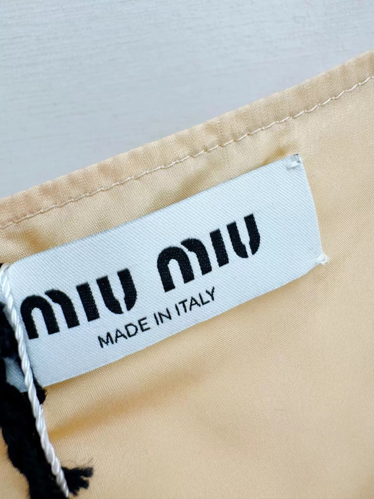 Miu Miu MIU MIU Women's Silk Cami 38 Never Worn Size XS / US 0-2 / IT 36-38 - 2 Thumbnail