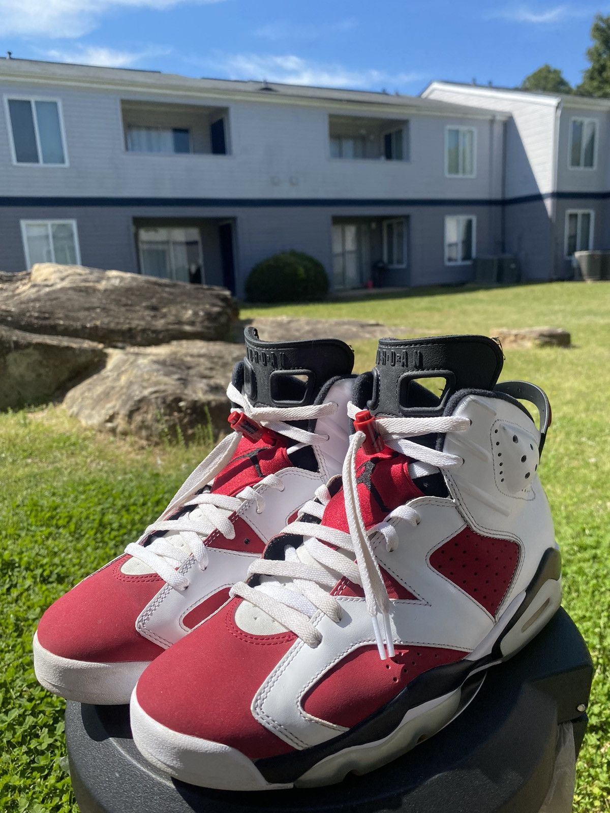 carmines 6 jordans