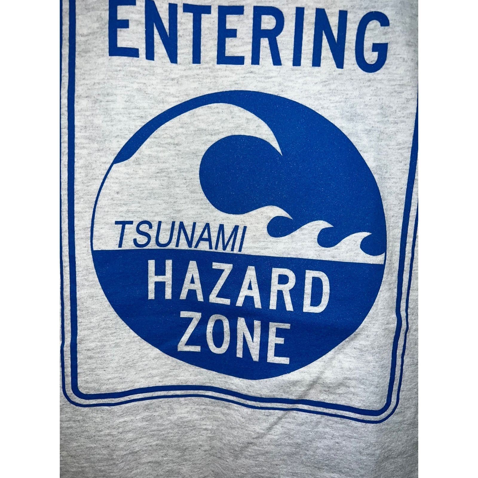 Gildan Vintage Tsunami Shirt Entering Hazard Zone Gray Tee Large Size US L / EU 52-54 / 3 - 3 Thumbnail