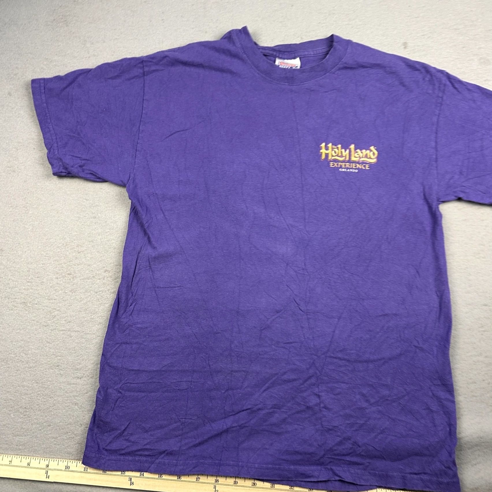 Hanes Holy Land Experience Shirt Orlando Theme Park Christian Purple Mens Medium Size US M / EU 48-50 / 2 - 2 Thumbnail