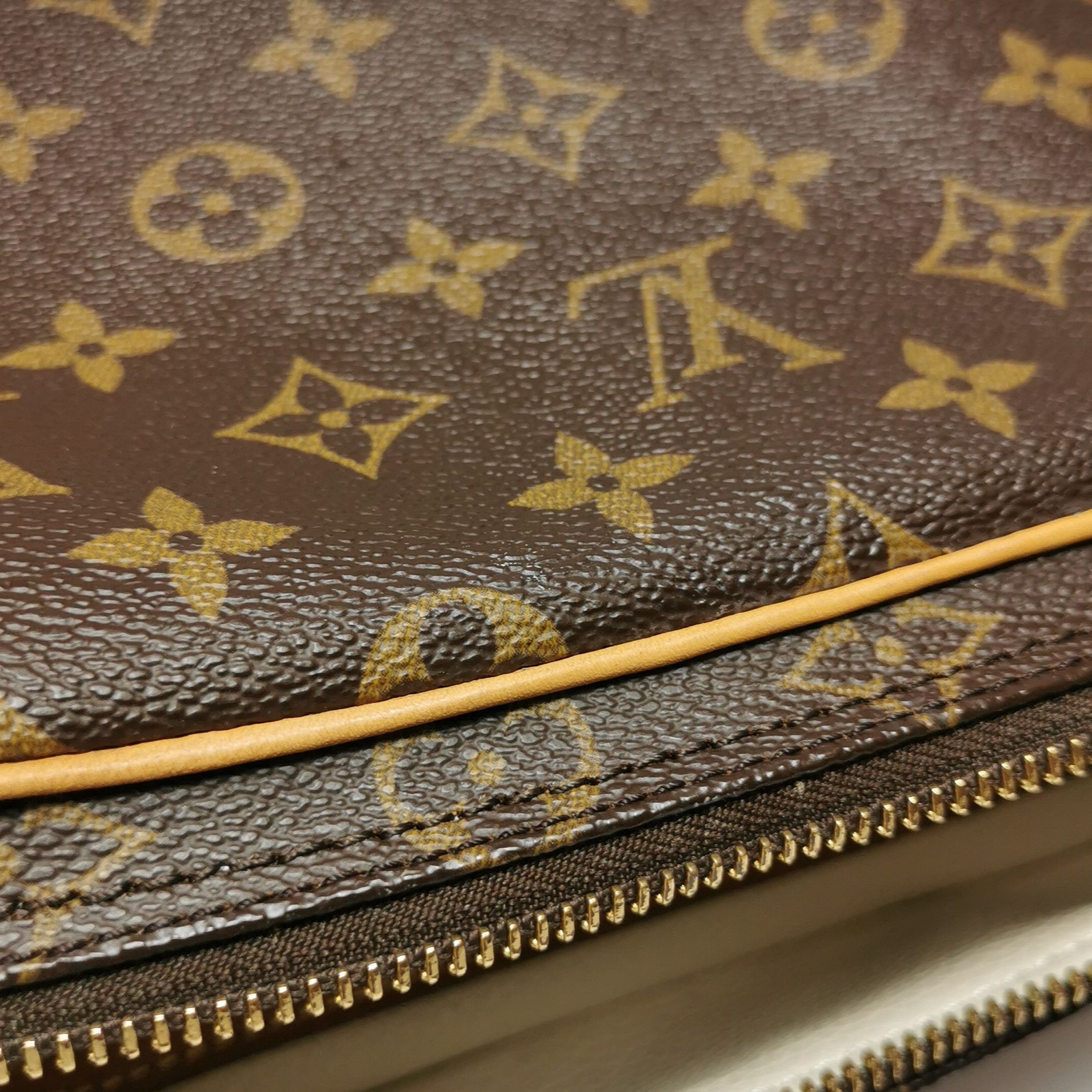 Louis Vuitton Louis Vuitton (LV) Vegetable Tanned Leather Monogram Print Size ONE SIZE - 8 Thumbnail