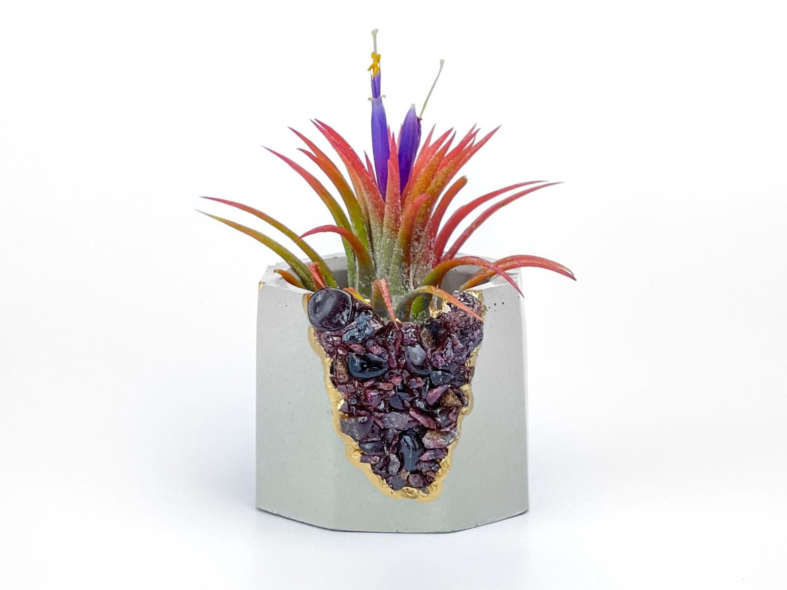 Other Garnet Crystal Concrete Planter | Geode Air Plant Holder Size ONE SIZE - 1 Thumbnail