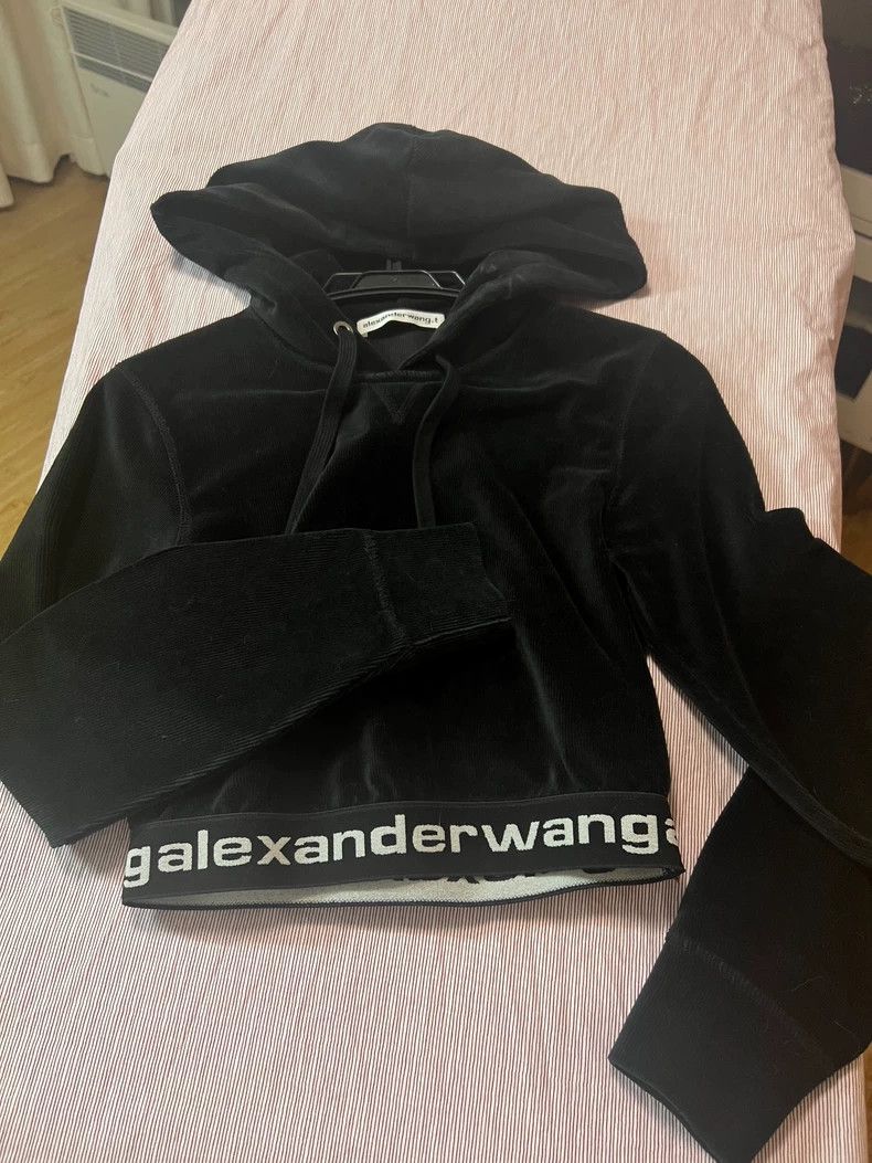 Alexander Wang Alexander Wang Black Cropped Hoodie Size XXS / US 00 / IT 34 - 1 Thumbnail
