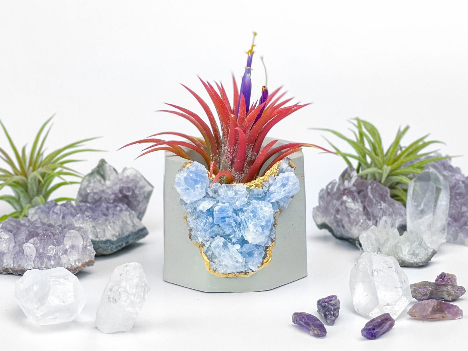 Other Succulent Crystal Planter | Geode Planter | Raw Blue Calcite Size ONE SIZE - 1 Thumbnail