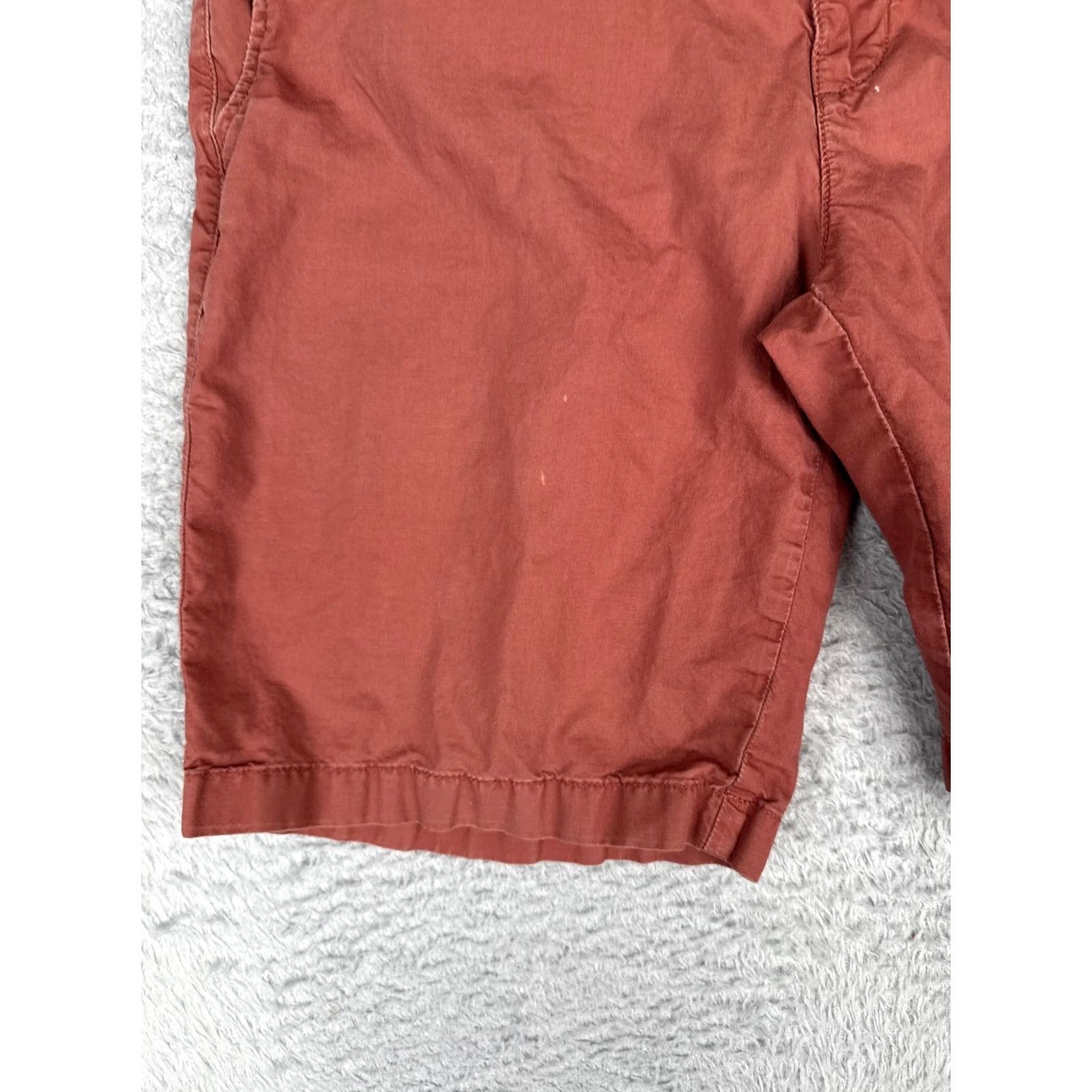 Patagonia Patagonia Shorts Mens 30 Brown Red Organic Cotton Hemp Chino 8 Inseam Casual Size US 30 / EU 46 - 3 Thumbnail