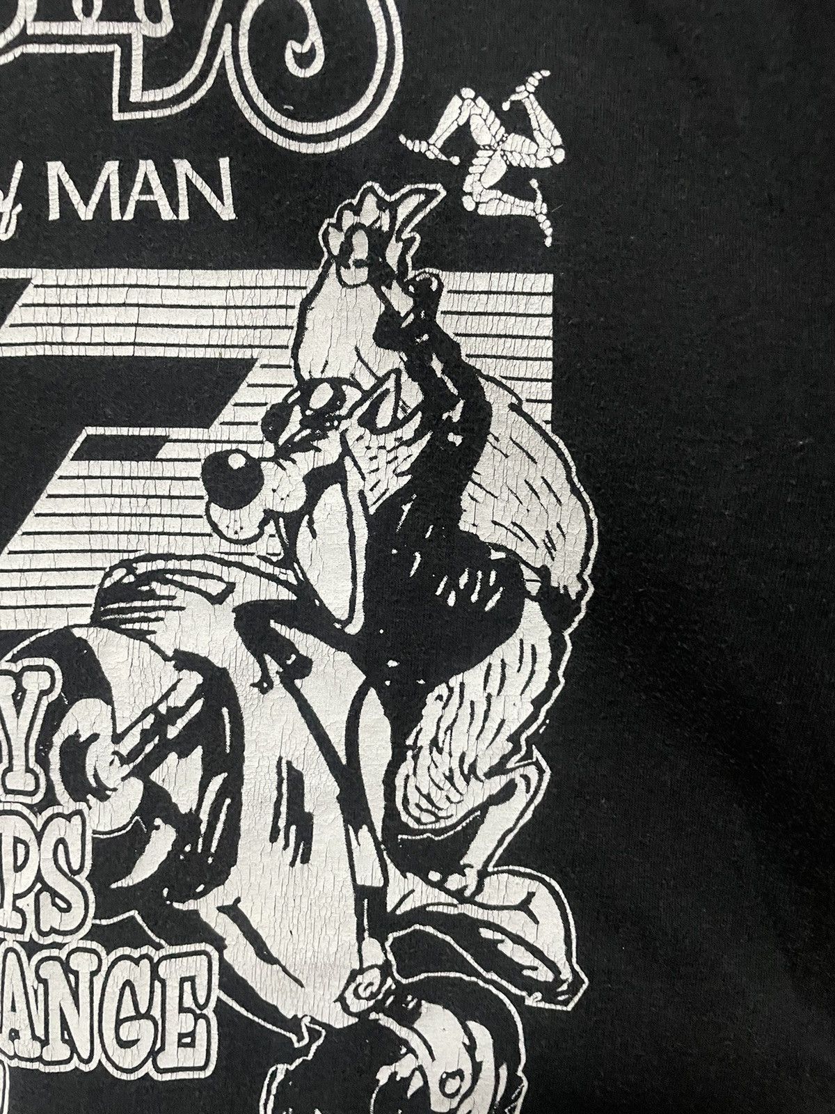 Vintage Bushy’s Beer Isle of Man 2005 Vintage Graphic Promo Tee XL Size US XL / EU 56 / 4 - 6 Thumbnail